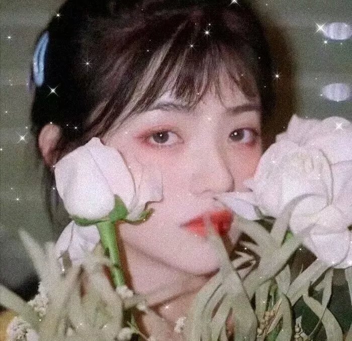卡罗尔伯爵的虚荣